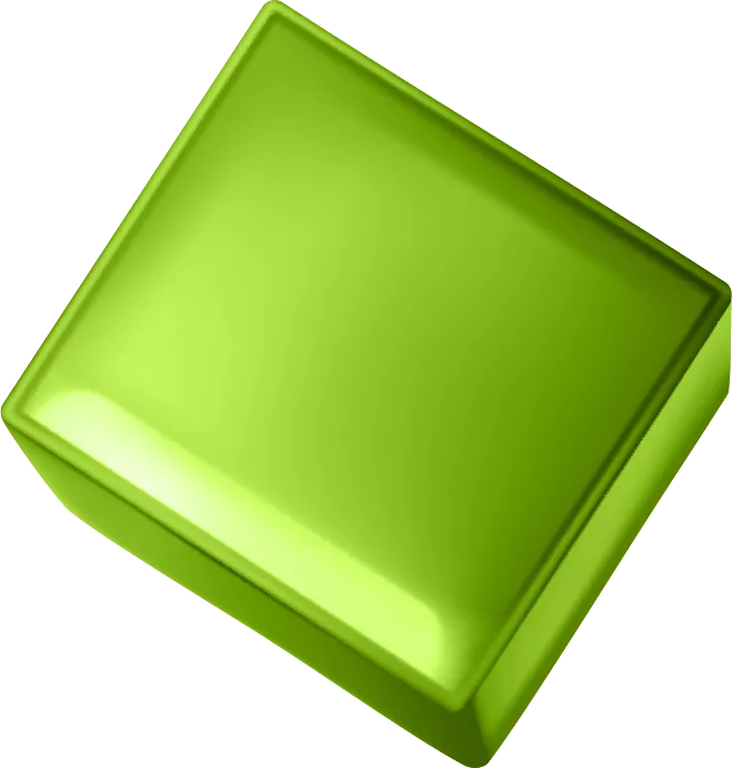 Asset 51